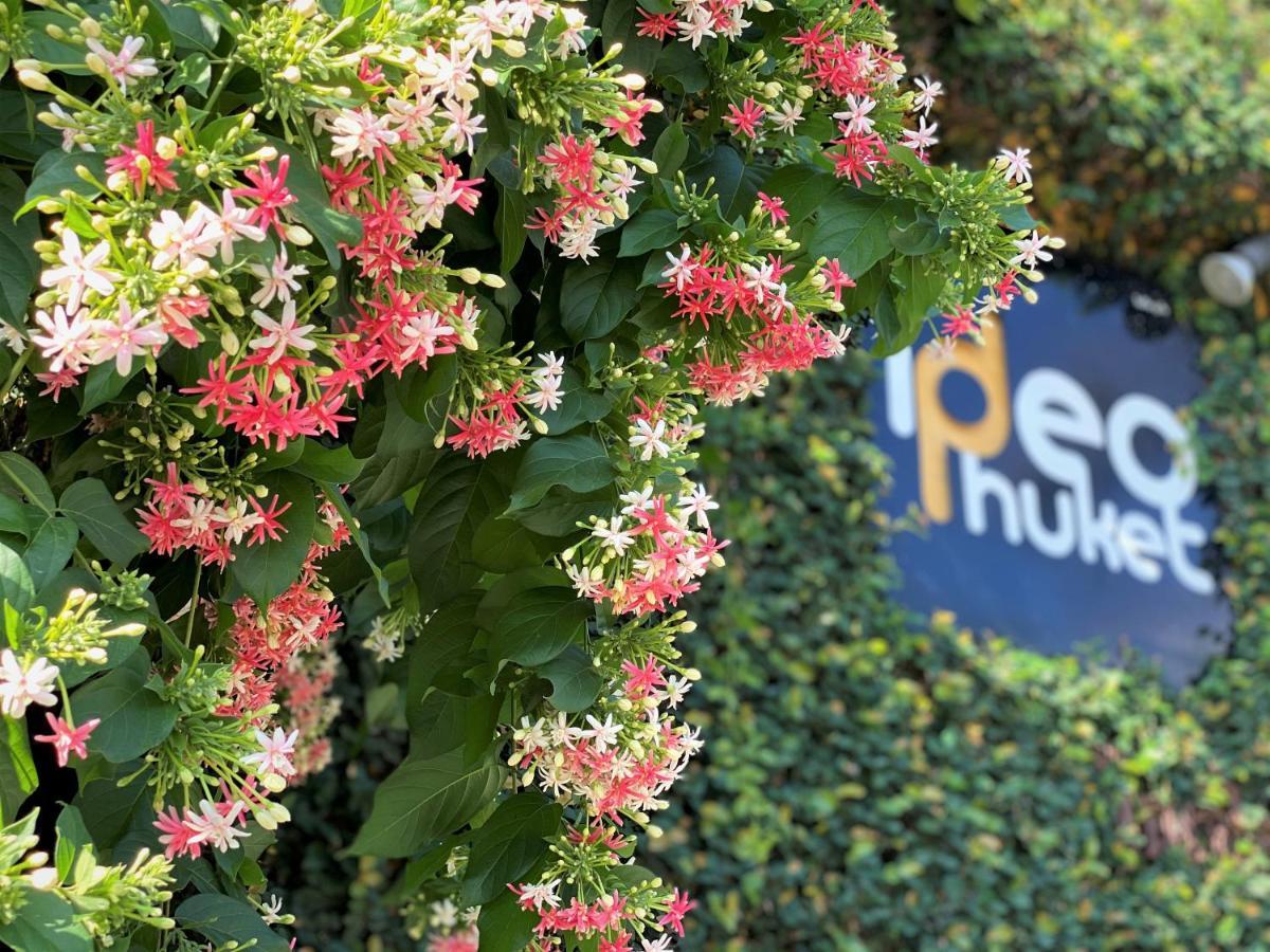 Ideo Phuket Hotel - Sha Extra Plus Nai Yang-stranden Eksteriør billede